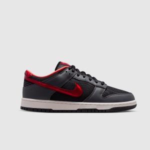 DUNK LOW PROTRO